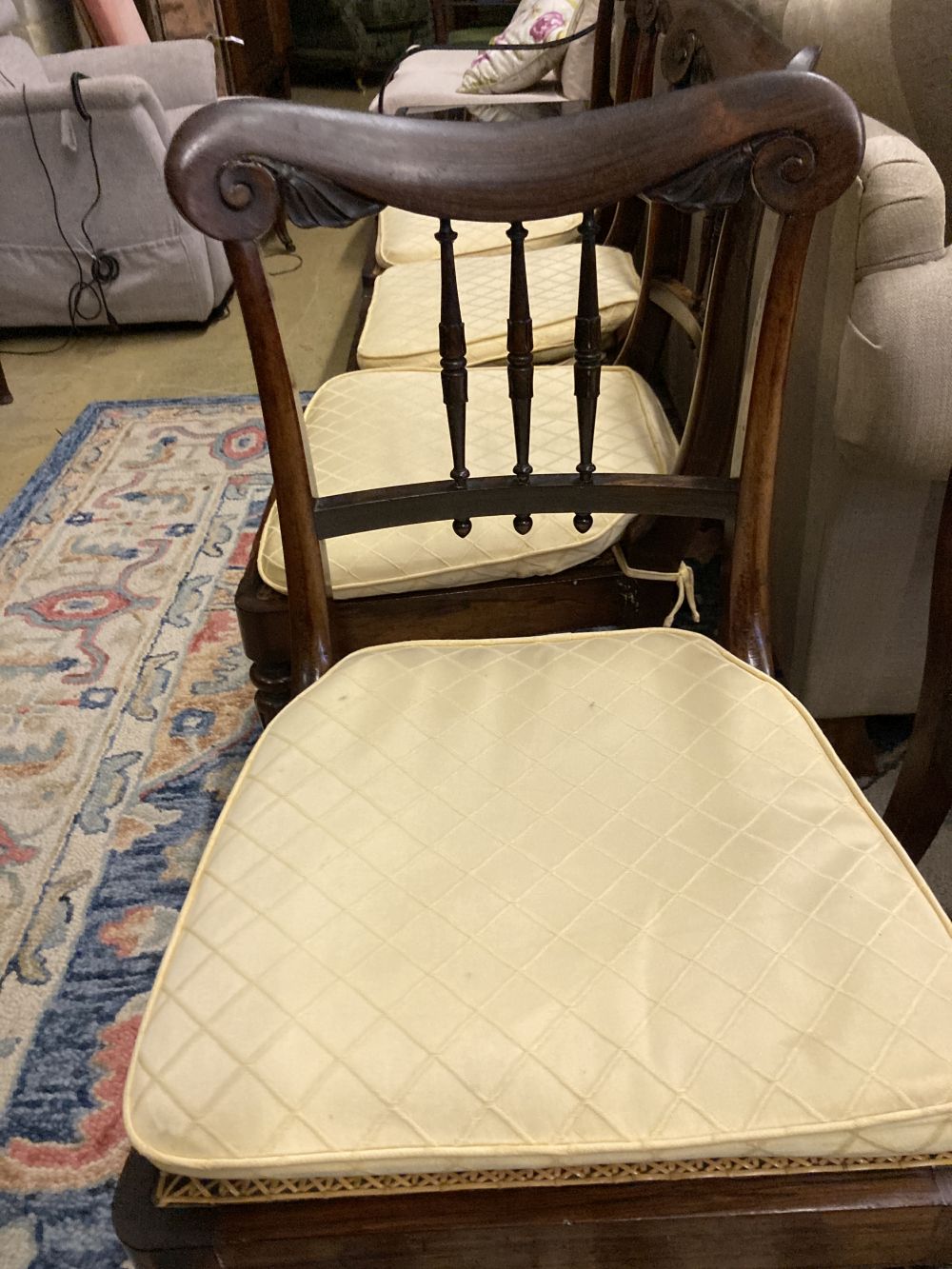 A set of six William IV rosewood cane seat dining chairs, with squab cushion seats